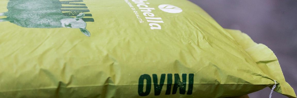 Mission, Vision, Valori