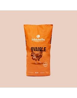 Mangime galline ovaiole **